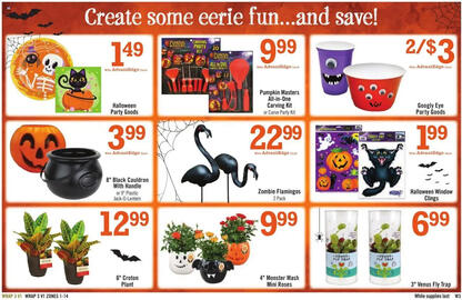 Price Chopper weekly ad week 43 Page 15