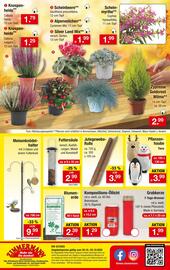 Zimmermann Prospekt woche 43 Seite 10