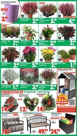 Wreesmann Prospekt woche 43 Seite 3