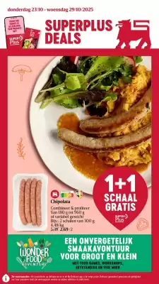 Delhaize folder