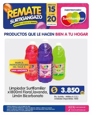 Catálogo Surtifamiliar (válido hasta 1-11)
