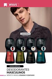 Catálogo AVON Página 178