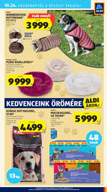 ALDI akciós újság hét 43 Oldal 44