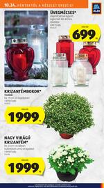 ALDI akciós újság hét 43 Oldal 5