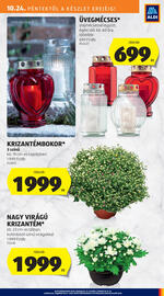 ALDI akciós újság hét 43 Oldal 6