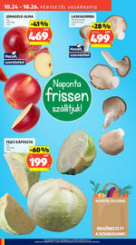 ALDI akciós újság hét 43 Oldal 9