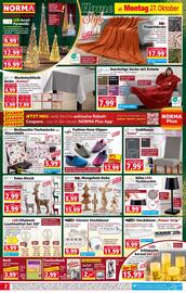 Norma Prospekt woche 44 Seite 3