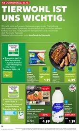 Kaufland DE folder week 43 Pagina 22