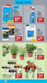 Aldi Nord Prospekt woche 44 Seite 20