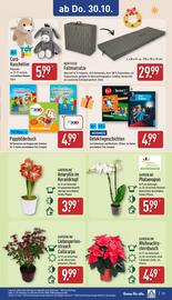 Aldi Nord Prospekt woche 44 Seite 23