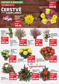 Kaufland leták týden 43 Strana 8