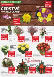 Kaufland leták týden 43 Strana 8