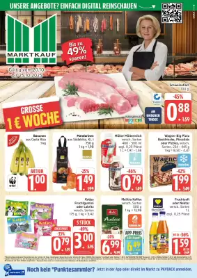 Marktkauf Prospekt (gültig bis 25-10)