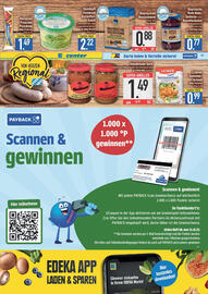 E-Center Prospekt Seite 13