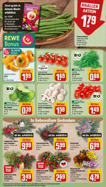 REWE Prospekt woche 43 Seite 9