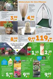 Globus Baumarkt Prospekt woche 43 Seite 9