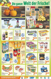 Inkoop Prospekt woche 43 Seite 2
