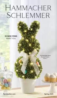 Hammacher Schlemmer weekly ad (valid until 29-10)