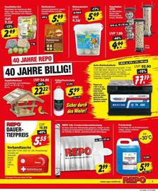 Repo Markt Prospekt woche 43 Seite 3
