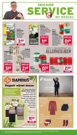 Wasgau Prospekt woche 43 Seite 14