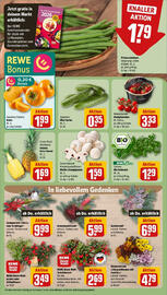 REWE Prospekt woche 43 Seite 9