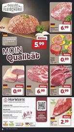 Famila Nord Ost Prospekt woche 43 Seite 6