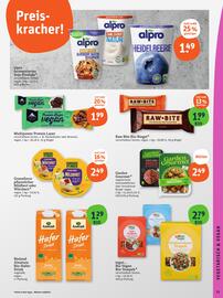 Basic Prospekt Seite 13