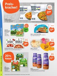 Basic Prospekt Seite 14