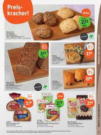 Basic Prospekt Seite 15