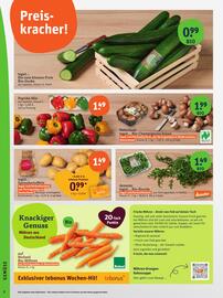 Basic Prospekt Seite 4