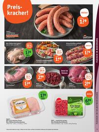 Basic Prospekt Seite 7