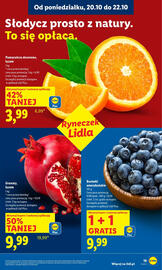 Lidl gazetka Strona 19