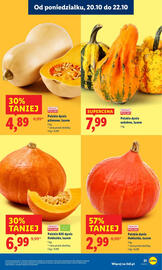 Lidl gazetka Strona 21