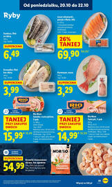 Lidl gazetka Strona 29