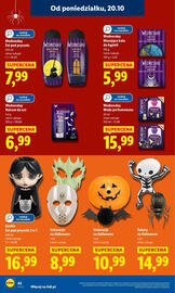Lidl gazetka Strona 42