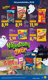 Lidl gazetka Strona 43