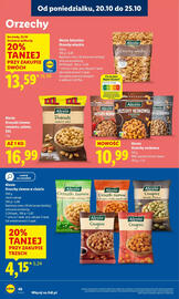 Lidl gazetka Strona 48