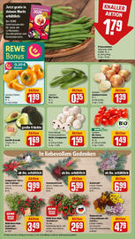 REWE Prospekt woche 43 Seite 9