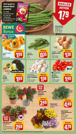 REWE Prospekt woche 43 Seite 9