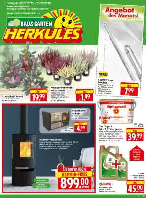 Herkules Baumarkt Prospekt (gültig bis 25-10)