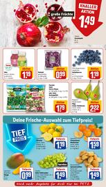 REWE PETZ Prospekt woche 43 Seite 8