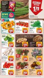 REWE PETZ Prospekt woche 43 Seite 9