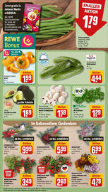 REWE Prospekt woche 43 Seite 9