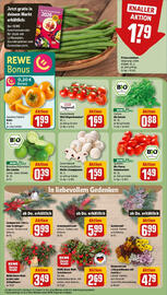 REWE Prospekt woche 43 Seite 9