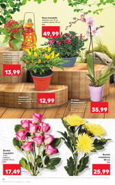 Catalog Kaufland săptămâna 43 Pagină 18