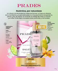 Catálogo Bagués Página 17
