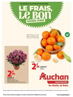 Auchan folder (geldig t/m 25-10)