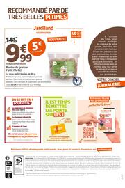 Catalogue Jardiland page 12