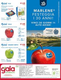 Volantino Gala Supermercati Pagina 24