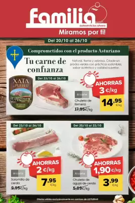 Folleto Autoservicios Familia
